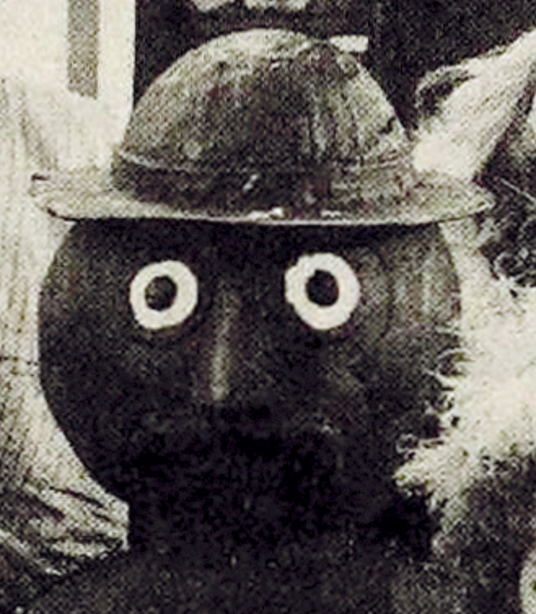 ABeMNm6ENZM1IYD.png
