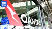Qantas says 'significant' portion of 6m customers' data likely stolen