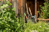 The Nationwide Movement Turning Guns into Garden Tools