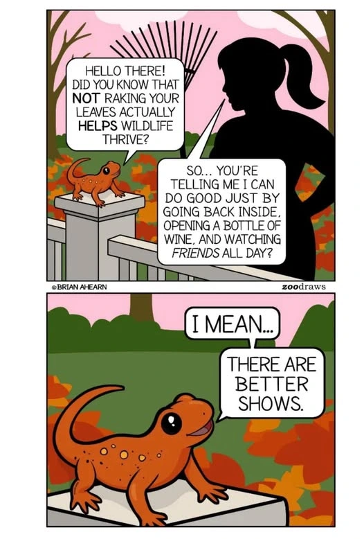 be a friend to the animals