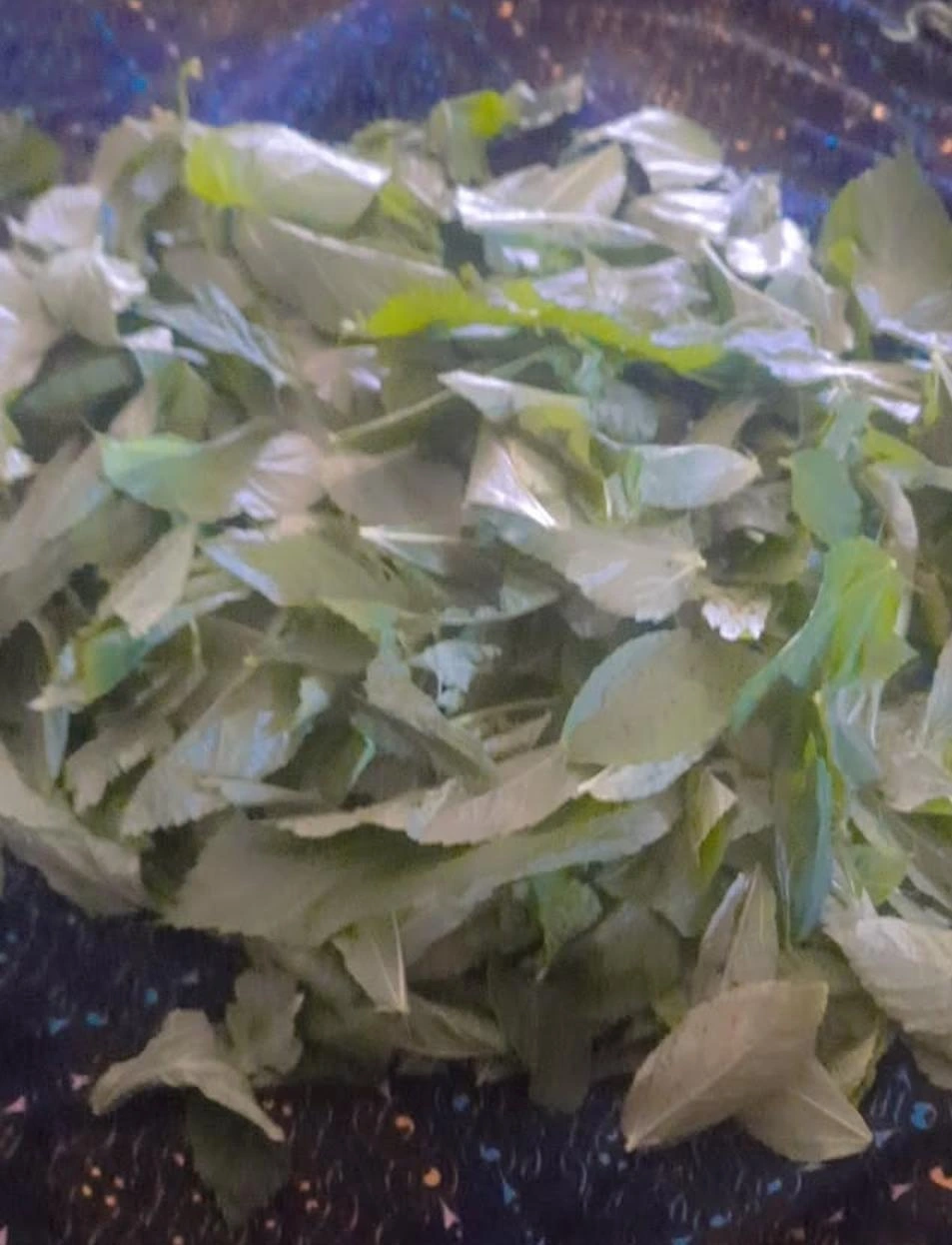 Molokhia leaves.