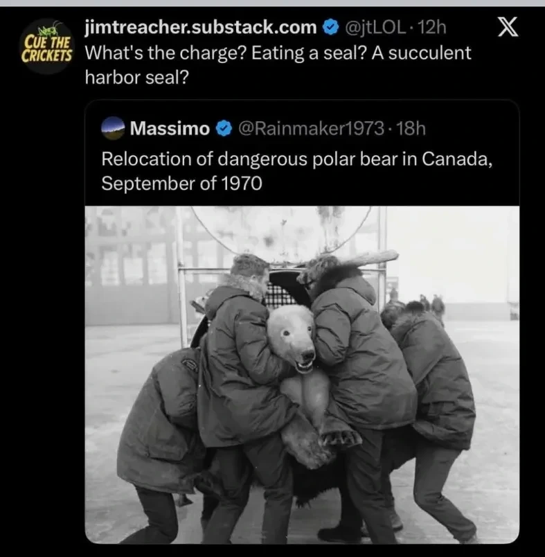 Post:"Relocation of dangerous polar bear in Canada, September of 1970" with a corresponding picture. Reply:"What's the charge? Eating a seal? A succulent harbor seal?"