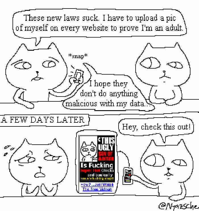 These new laws suck (Nyazsche)