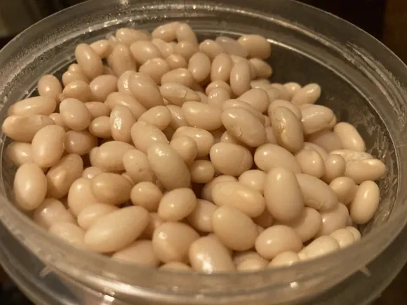 Make Your Own Beans Instead of Using Canned!