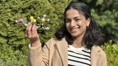 Irish student wins award for biodegradable plastic