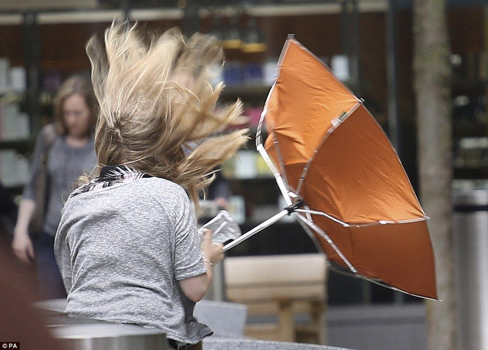 umbrella png