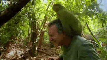 being shagged by a rare parrot!