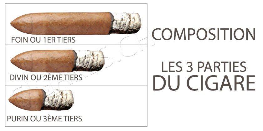 The 3 parts of a cigar