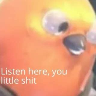 Listen here you little shit