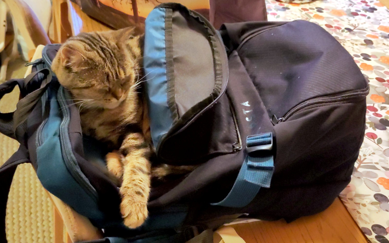 Backpack unavailable