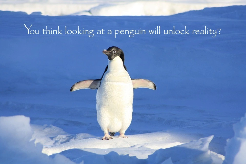 You think looking at a penguin will unlock reality?