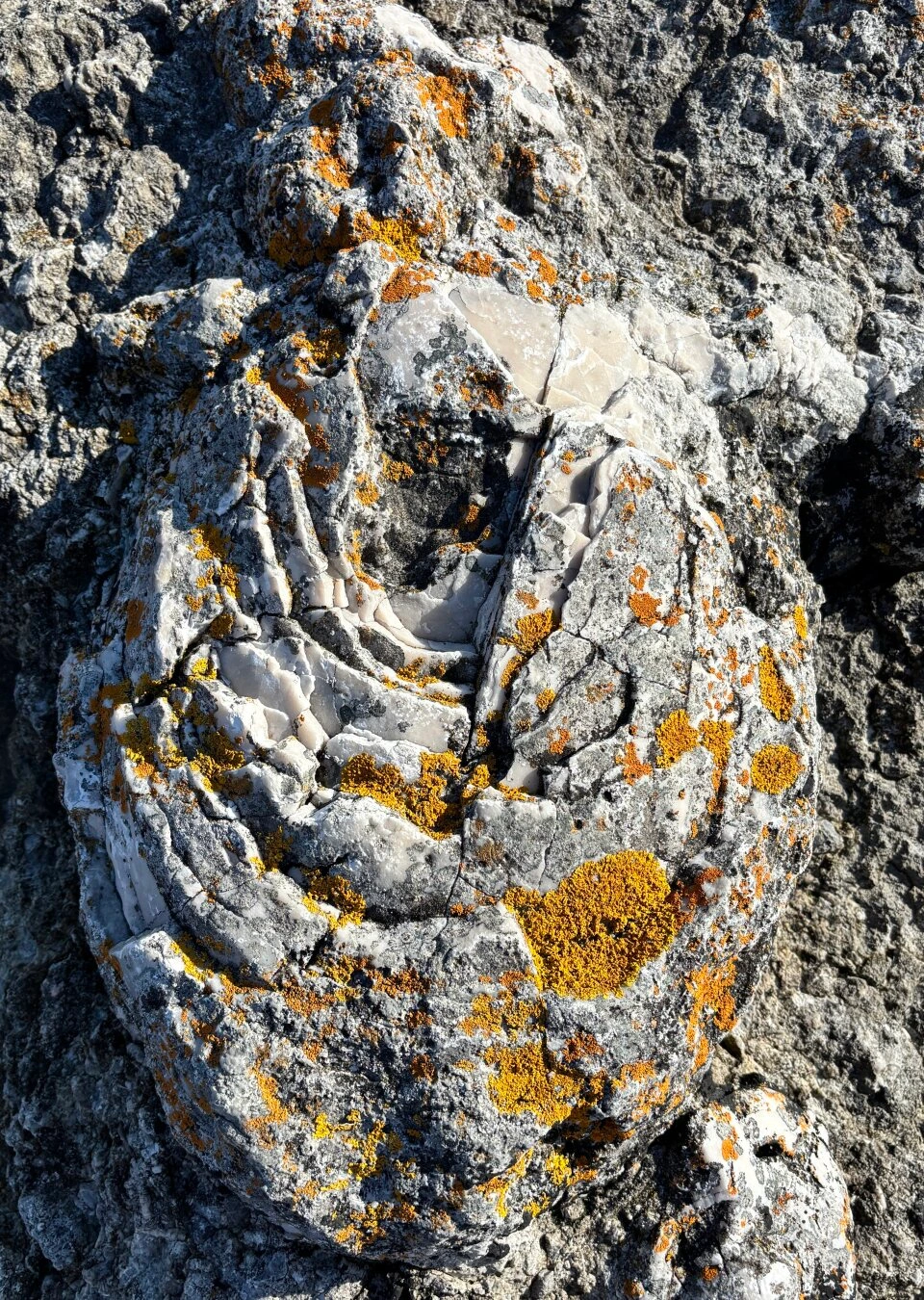 Photo of a cool cracked rock with parts missing forming a hole in the middle.
