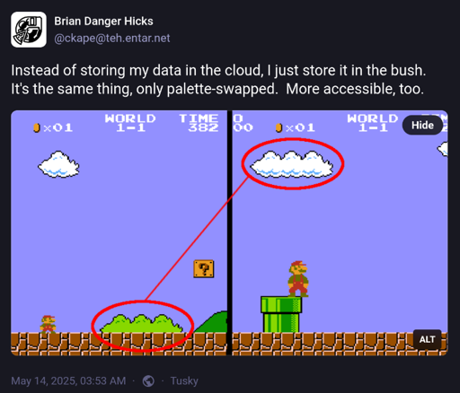 Blog capture: "Instead of storing my data in the cloud, I just store it in the bush. It's the same thing, only palette-swapped. More accessible, too" Picture attached: "Screenshot of Super Mario Bros pointing that bushes use the same texture as clouds" source: https://teh.entar.net/@ckape/114504160543604880
