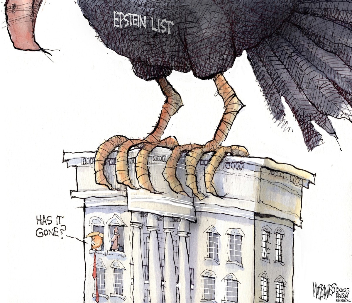 Matt Davies, Newsday