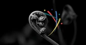 Leading the future of open science publishing - PLOS
