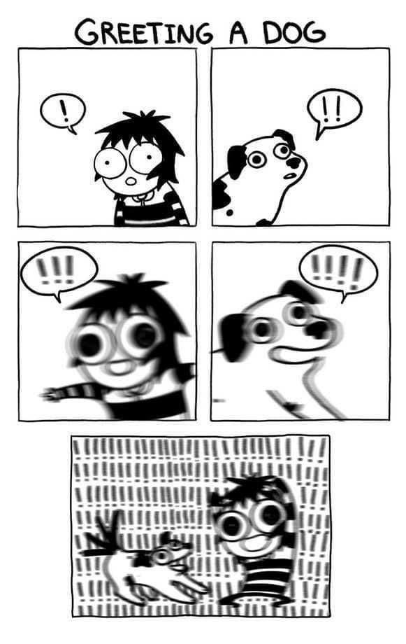a comic depicting the growing excitement when you greet a dog