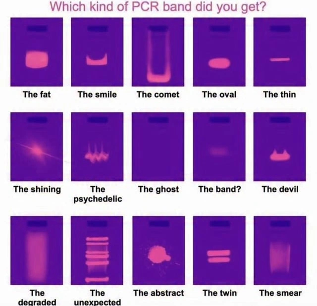 Choose your fighter, chatters.