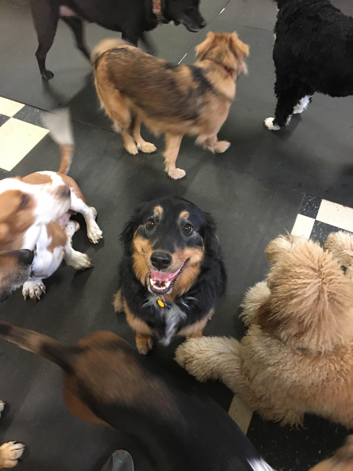 You have been Chosen