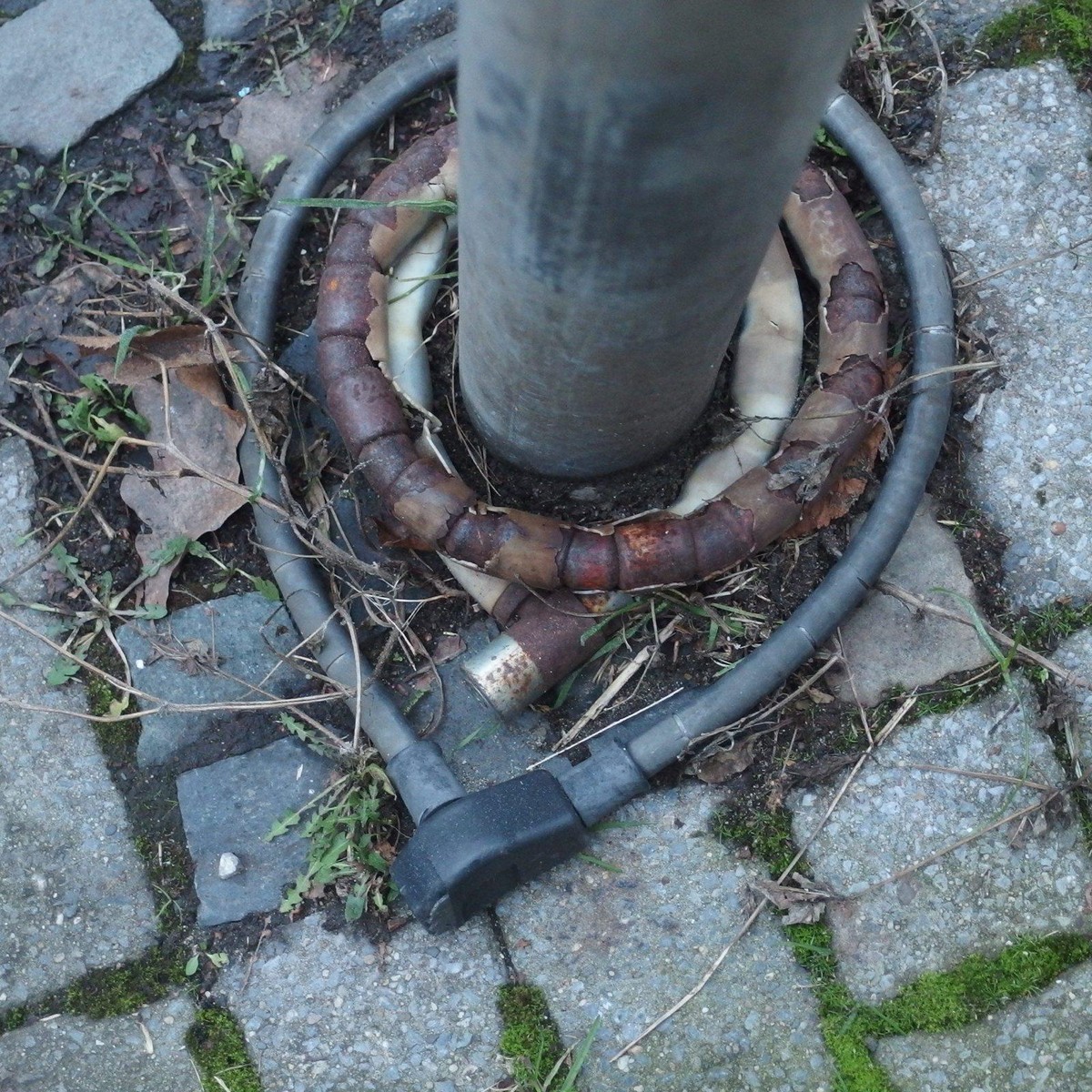Zwei Ringschlösser, die um einen Straßenpoller auf dem Boden liegen. Das innere ist dicker und rostig, das äußere ist länger und plastikummantelt.