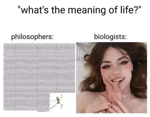 What is the meaning of life?