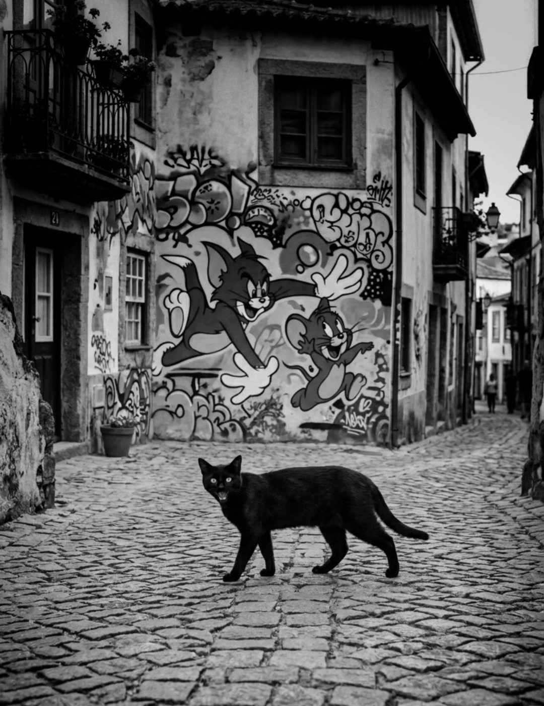 Unknown cat photographed by Dusan Milosic