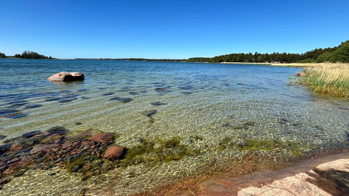 Photo of a sandy seafloor seen throug clear water.
