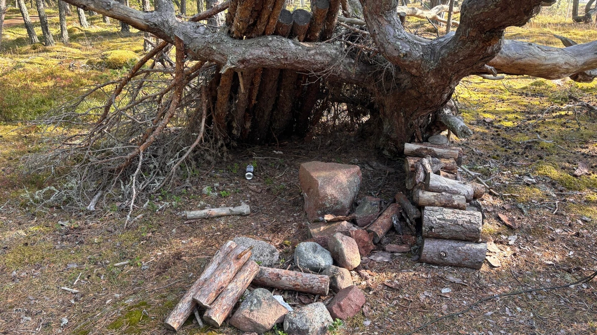 Photo of some logs over a little campsite.