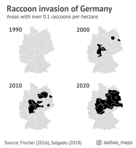 Map of Germany showing raccoon invasions as share of affected territory. Approximately 0% in 1990, 5% in 2000, 15% in 2010 and 35% in 2020. Source: sashas_maps on Instagram.