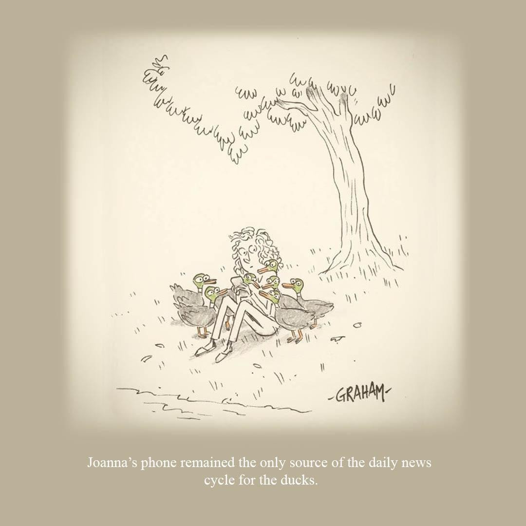 Cartoon of a woman scrolling her smartphone on the grass, by a pond. Legend says "Joanna's phone remained the only source of the daily news cycle for the ducks".