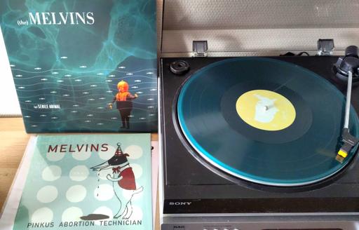 Album covers laid out on the left, the "Senile animal" vinyl spinning on the turntable, right.