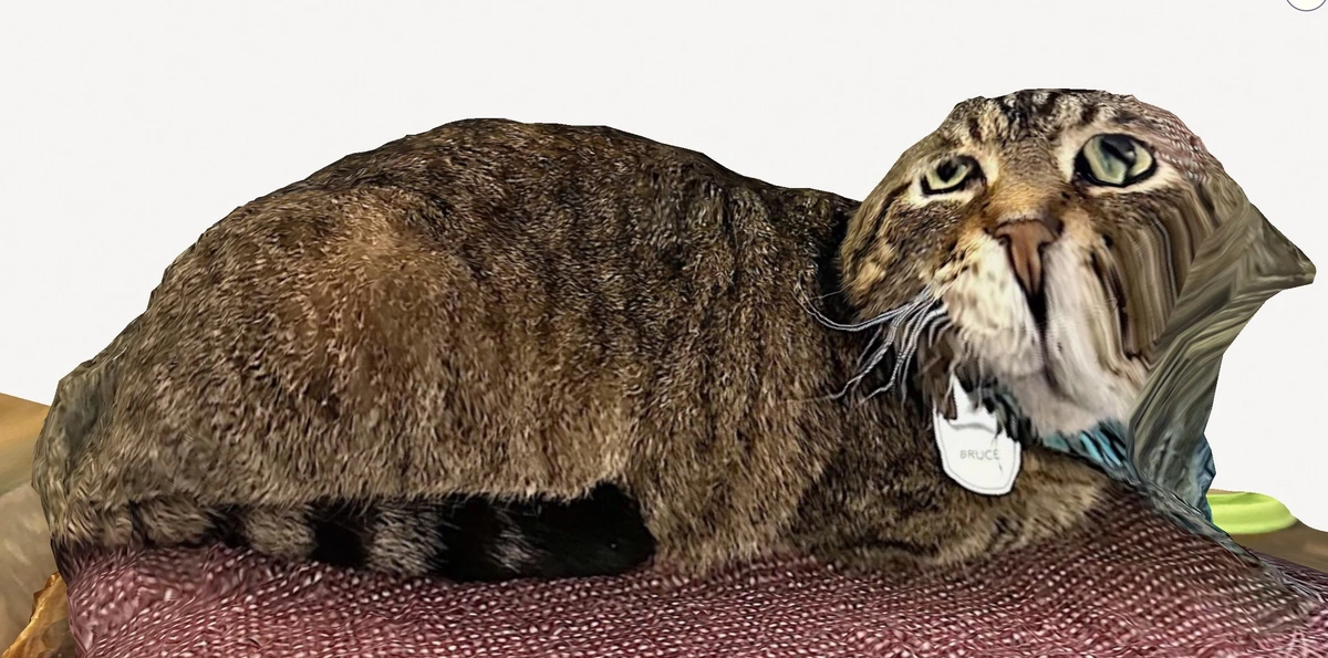 I 3D scanned my roommates cat. It moved.