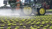 Les eaux souterraines suisses sont polluées par les pesticides!