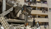 Twelve killed in separate Israeli attacks across Gaza