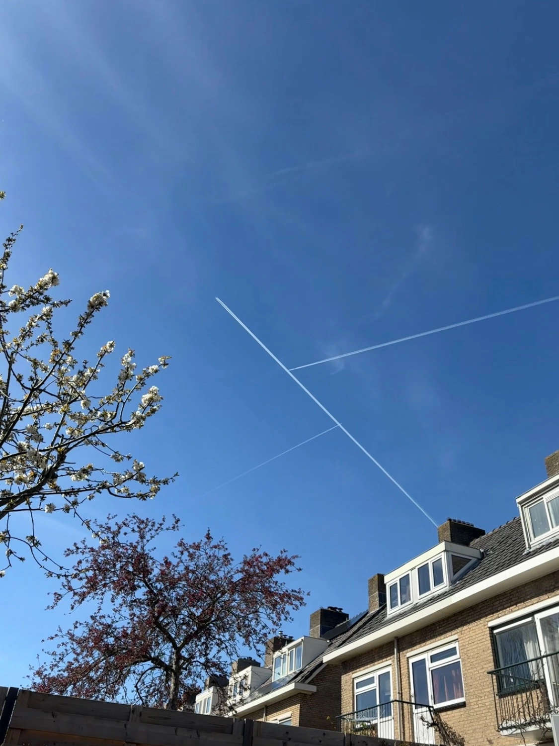 Three planes over my garden this afternoon