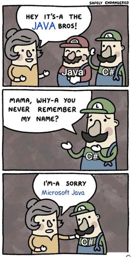 Java Bros