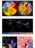 Worldwide rooftop photovoltaic electricity generation may mitigate global warming - Nature Climate Change