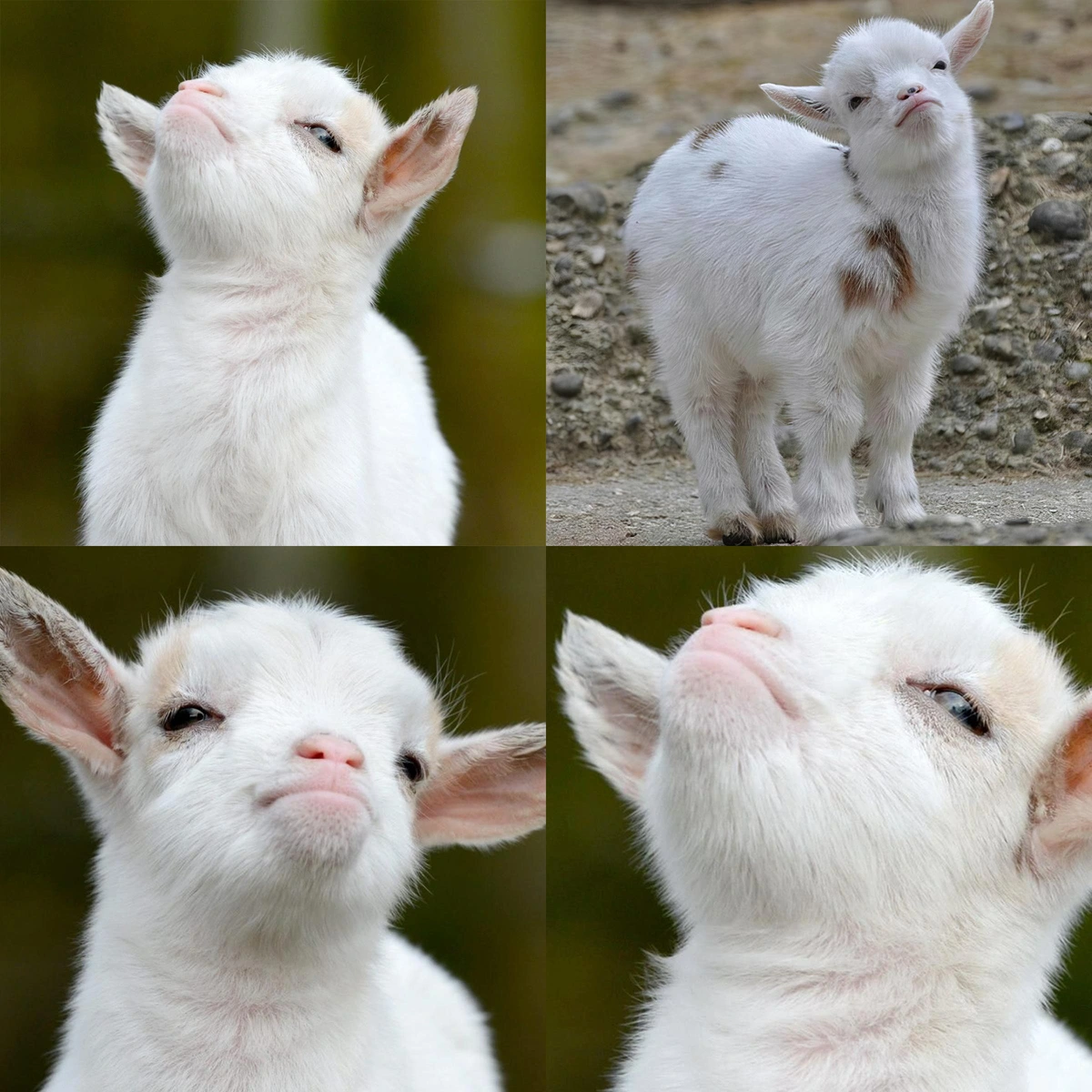When no one believed you, but you turn out to be right