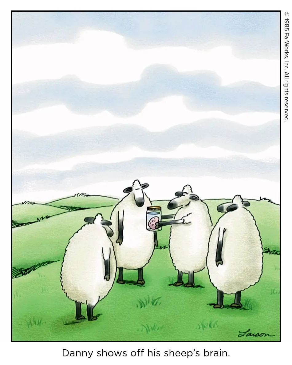 2025-06-10