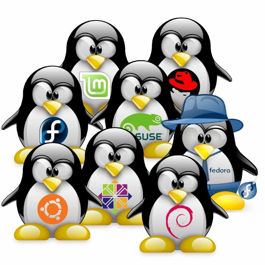Tanti pinguini di Linux con i simboli di molte distribuzioni.