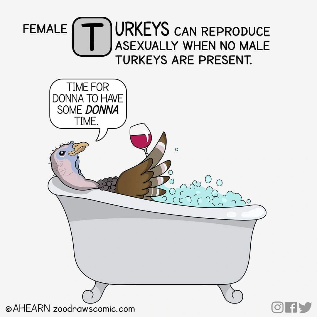 Turkey Jerky [Zoo Draws Comic] 