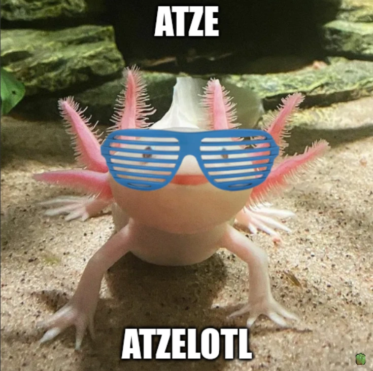 Atzelotl