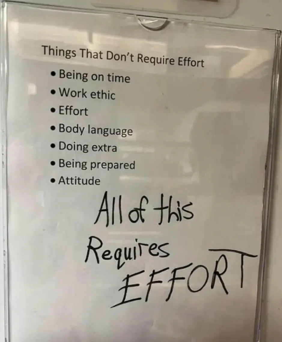 So much fucking effort