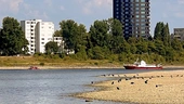 "Kannst du dir nicht ausdenken": Feuerwehr Köln schäumt über dreisten Schwimmer im Rhein