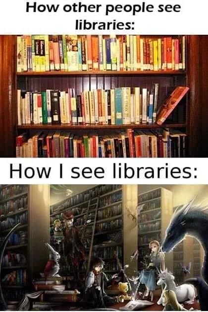 Okay, so it's not the same picture.
The first panel is an ordinary bookcase captioned: How other people see libraries.
The second panel is a magical library filled with unicorns, dragons and all your favourite characters captioned: How I see libraries.