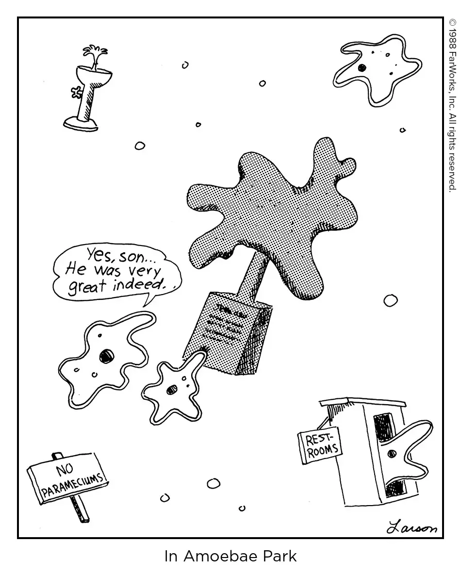 2025-06-10