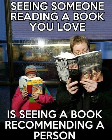 The image shows two individuals reading books public. The person on the left is a child wearing a pink jacket and a colourful striped hat, reading a "Harry Potter" book. The person on the right is an adult, wearing a black jacket, reading "Harry Potter and the Goblet of Fire" by J.K. Rowling. The background features a window with reflections. The image has text overlaid on it, with the top text reading "SEEING SOMEONE READING A BOOK YOU LOVE" and the bottom text reading "IS SEEING A BOOK RECOMMENDING A PERSON."  Provided by @altbot@fuzzies.wtf, generated privately and locally using Ovis2-8B