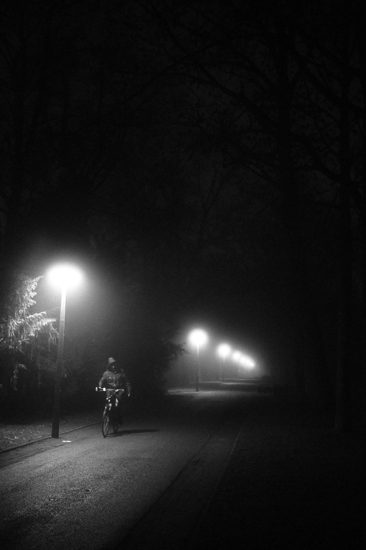 Foggy bike ride [OC]