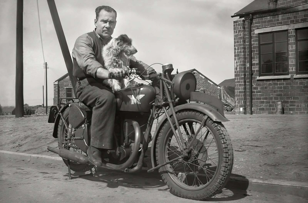 Man and dog on motorcycle, UK?, 1950s?