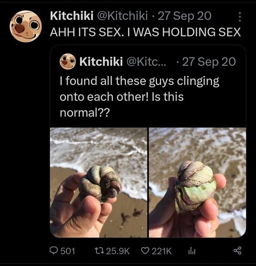 holding sex