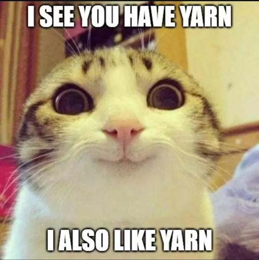 A wide-eyed cat looking a bit obsessive with a bit of a creepy little smile on its face.

The text says, "I see you have yarn. I also like yarn."